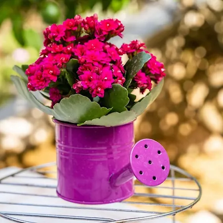 Matej - One Bedroom Rtava S Dakse * 杜布罗夫尼克