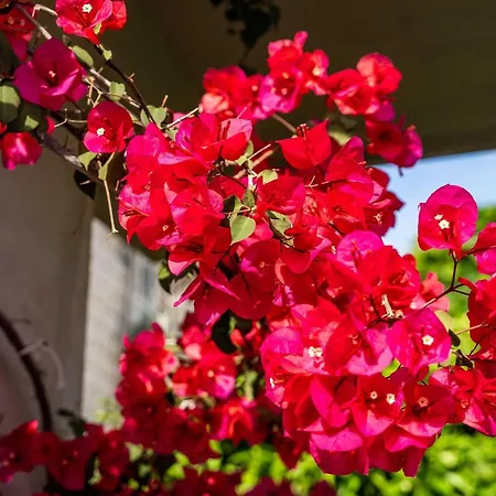 公寓 Matej - One Bedroom Rtava S Dakse *