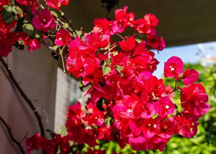 דירה Matej - One Bedroom Rtava S Dakse *